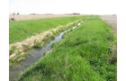 Property photo 37 - 172 Acres Offered in 3 Tracts - Prime Farmland